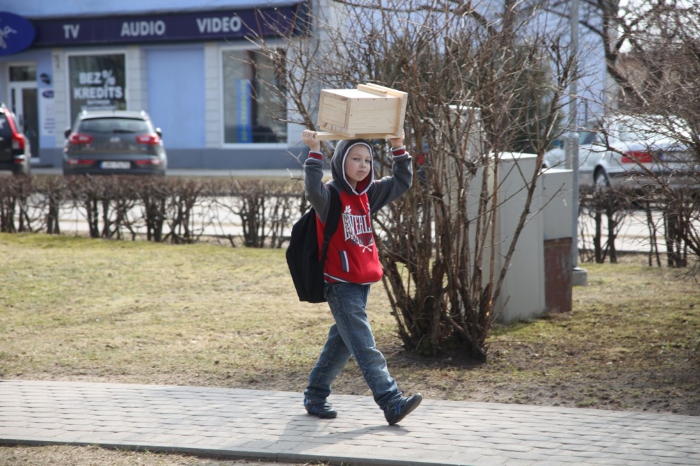 Foto: Putnu dienas gājiens Gulbenē