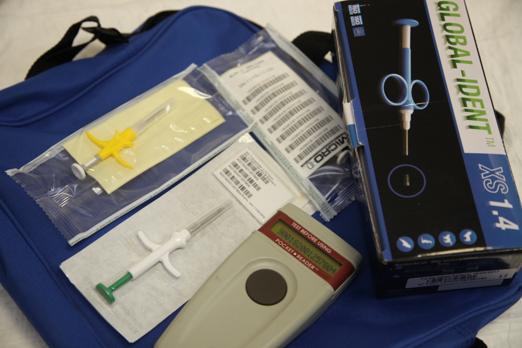 Kaķu sterilizācijai atvēl 2000 eiro