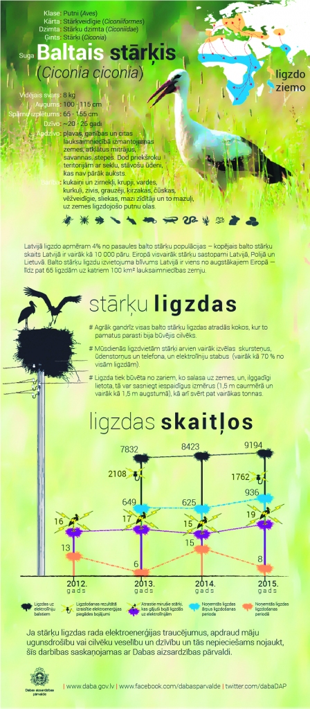 Stārķu ligzdu patvaļīga nojaukšana – aizliegta