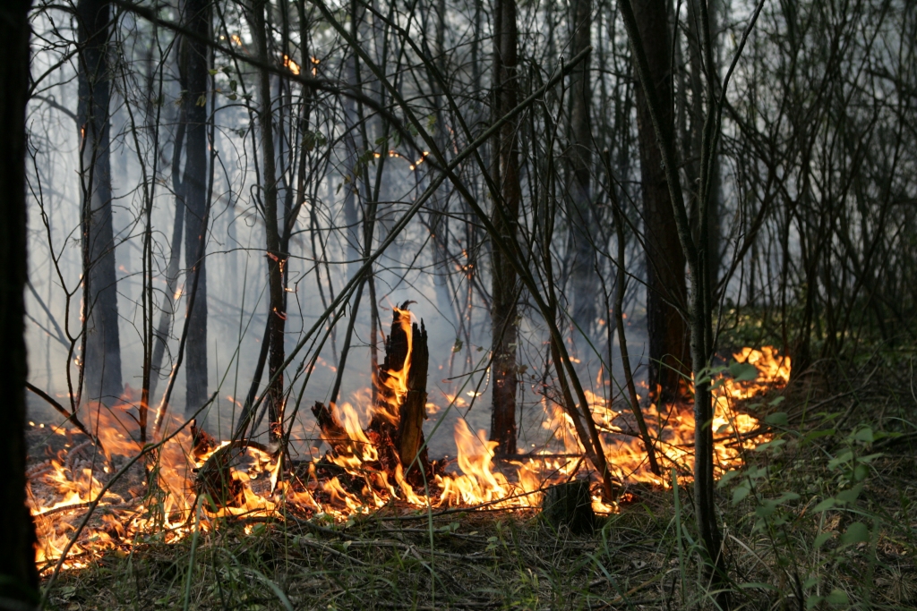 Bolderājā degošajās niedrēs liesmas ceļas pat trīsstāvu mājas augstumā