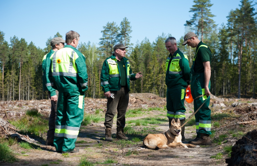 FOTO: Rīgas domes vadība talkā stāda egles