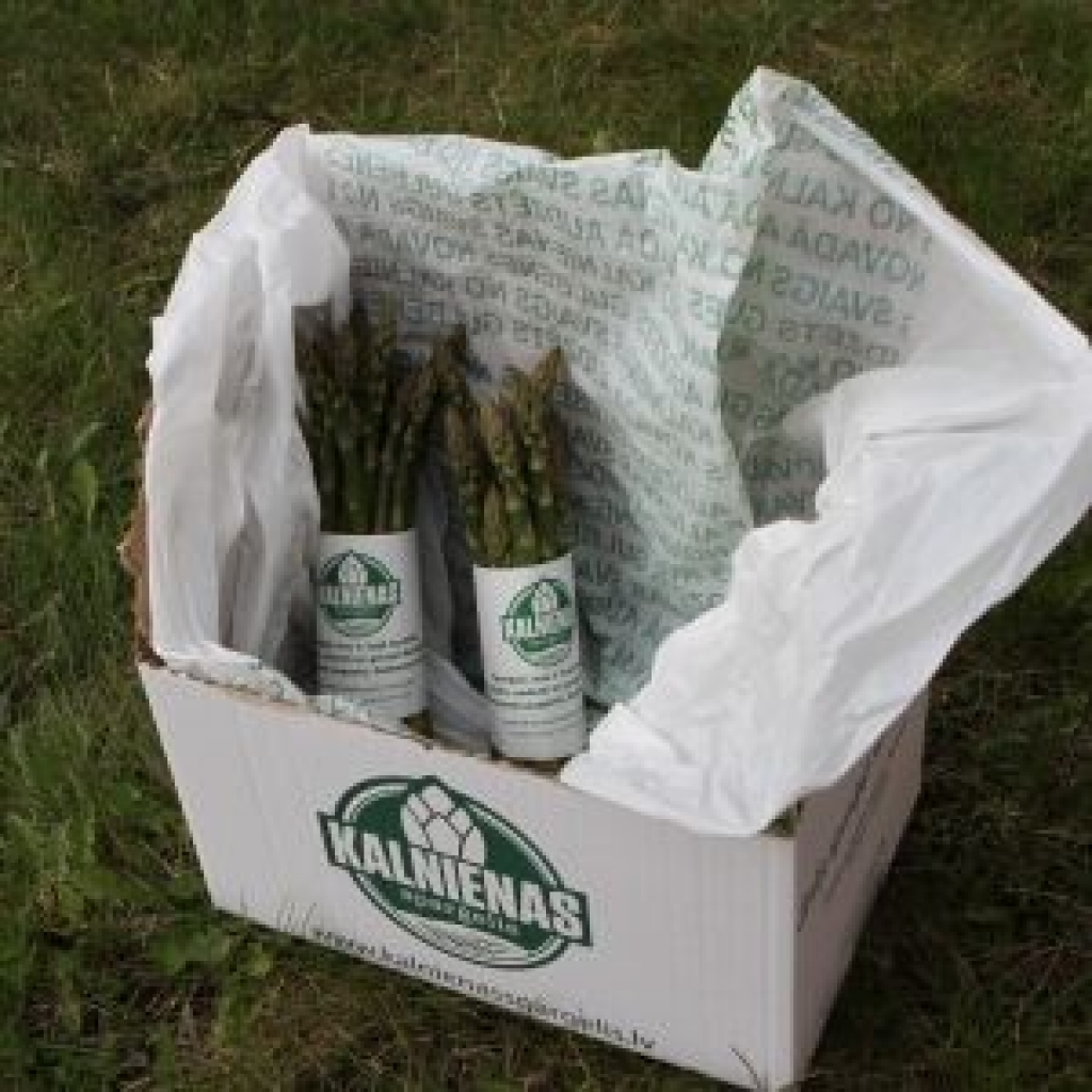 Kalnienā audzē sparģeļus