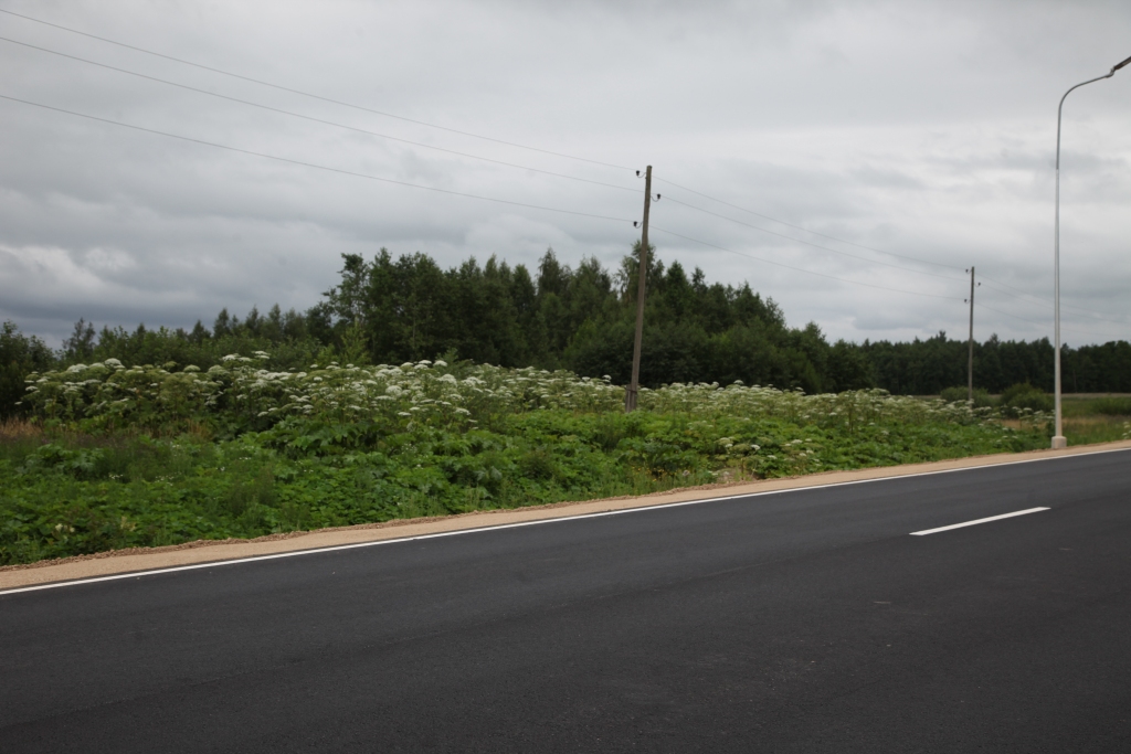 Līdz 15.jūlijam latvāņiem jābūt novāktiem