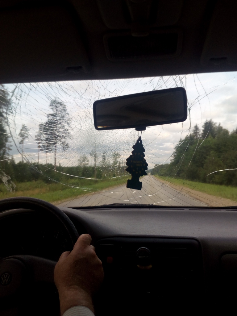 Autovadītājiem jāuzmanās no stārķiem ceļmalās