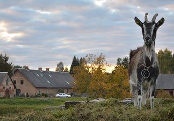 Interesenti Pasaules tūrisma dienā ciemojas Lizumā