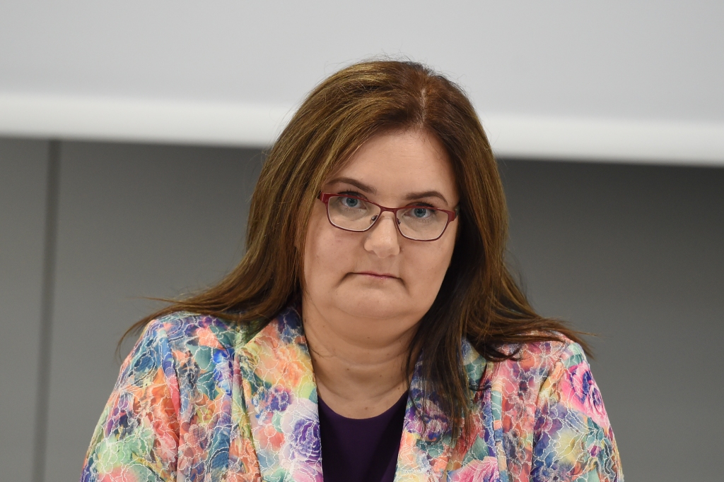 Pelēkā: Jaunajam VID vadītājam jābūt iedvesmojošam līderim