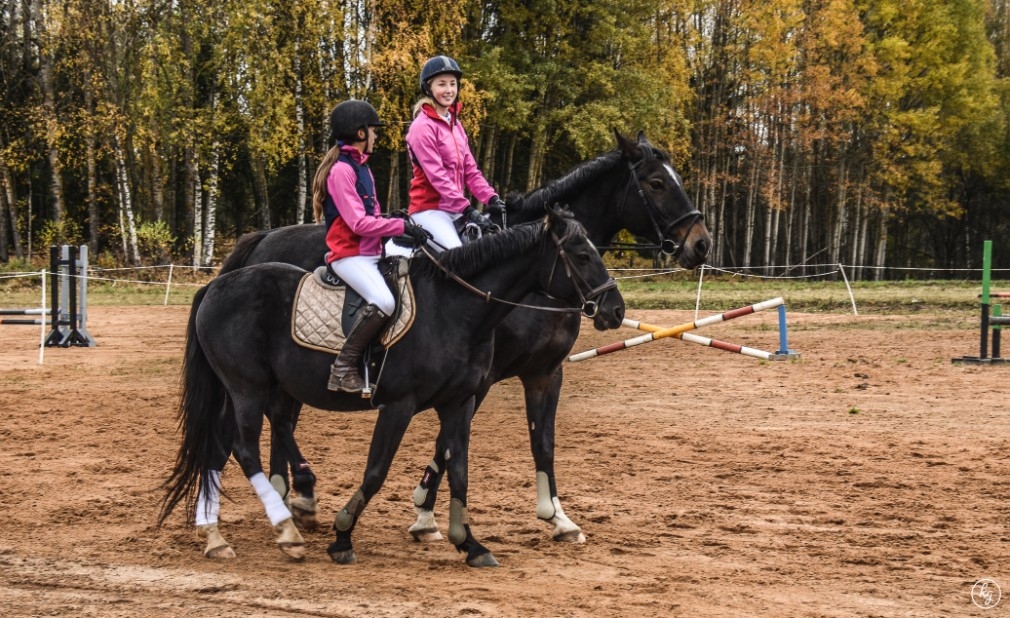 Portāla lietotāja foto: "Purenēs" pirmo reizi notiek treniņsacensības jāšanas sportā