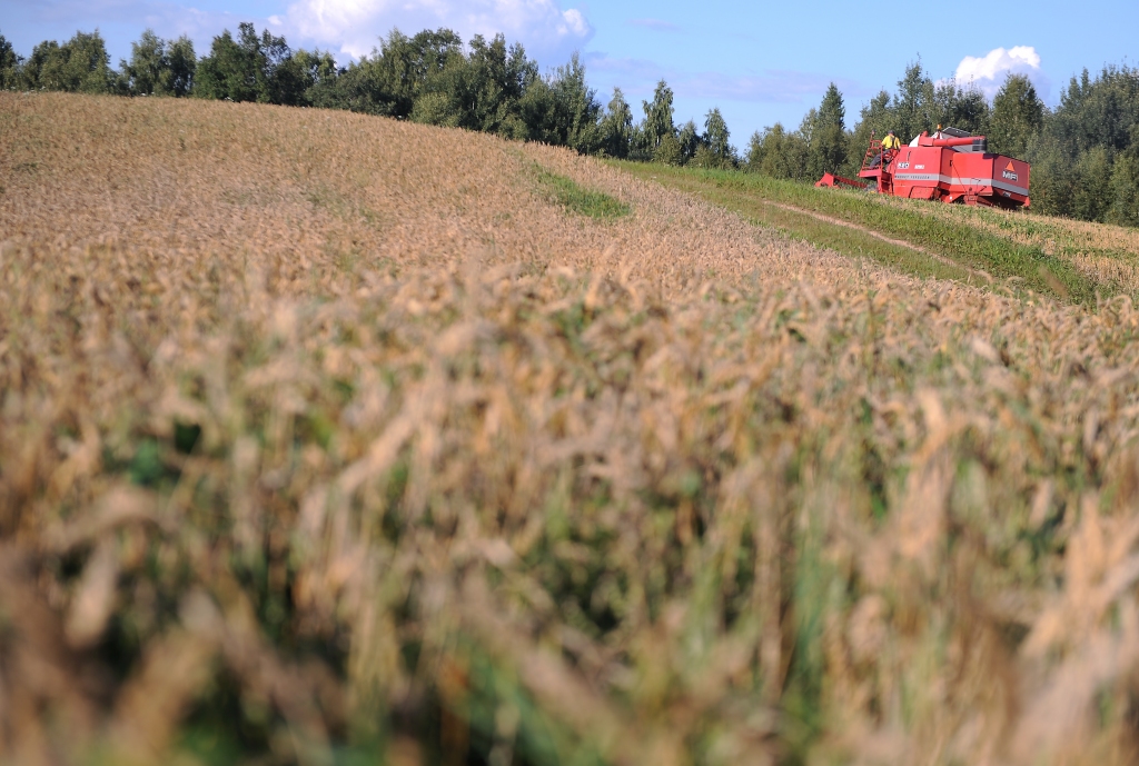 Graudu nozares ieņēmumi sarukuši par 54 miljoniem eiro