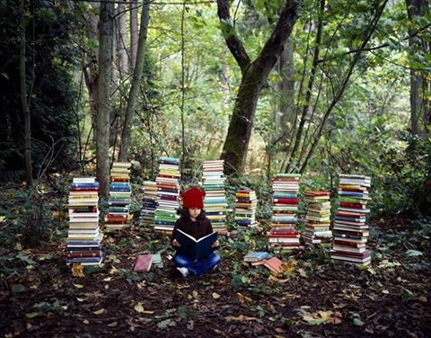 Septiņu pagastu bibliotēkām būs āra lasītavas