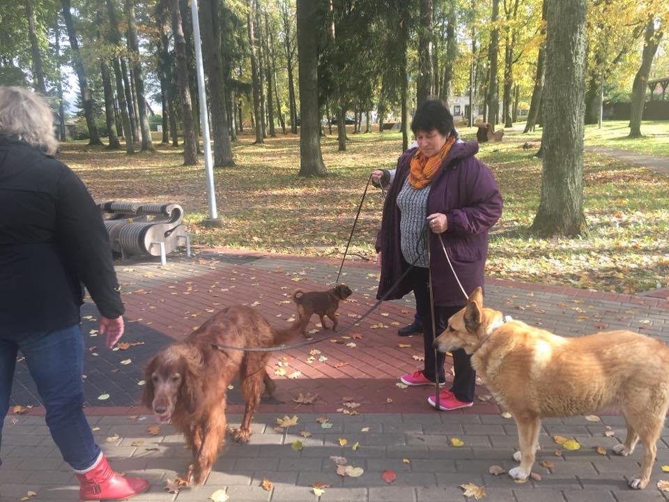 Foto: Dzīvnieku aizsardzības diena Gulbenē