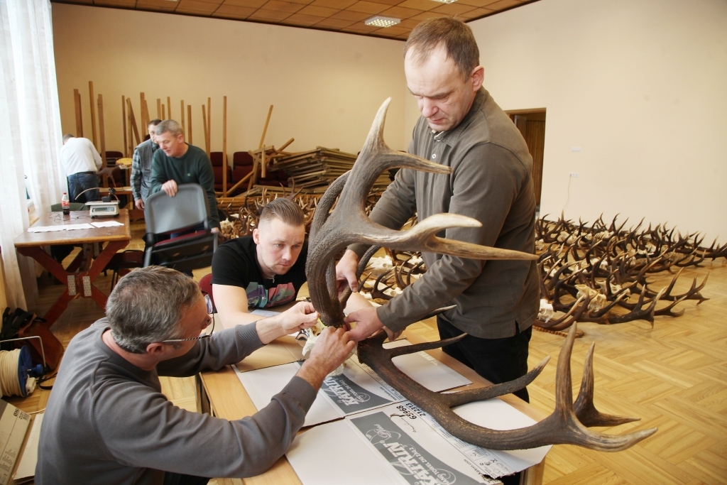 Līdz 24.februārim izstādē skatāmas izcilas medību trofejas