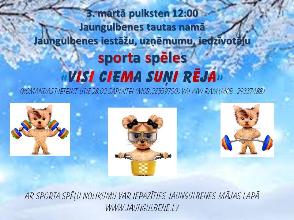 Jaungulbenes pagasta ziemas sporta spēles