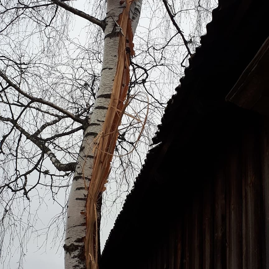 Nogrand pirmais pamatīgais pērkons