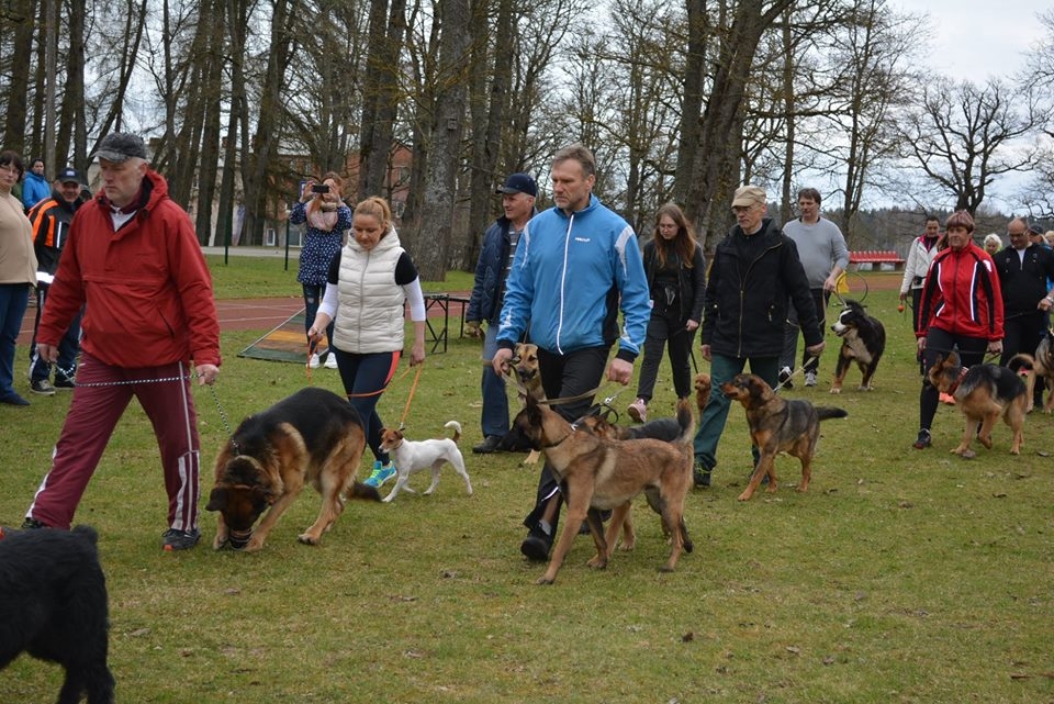 Foto: suņu sacensības Lizumā