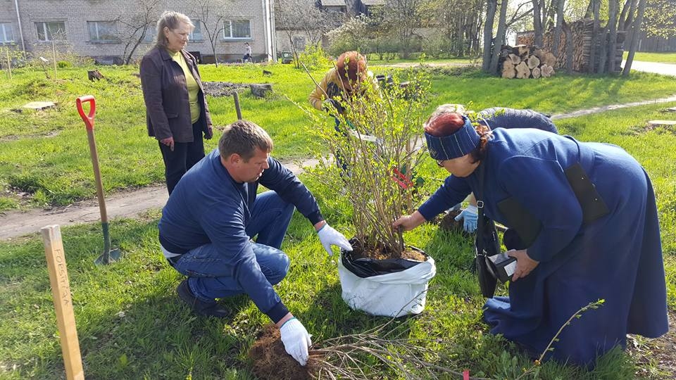 Foto: jaungulbenieši Brīvības svētkos atjauno vētras nopostīto parku