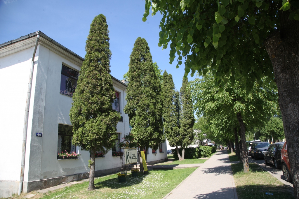 Visbiežāk lūdz atļauju nozāģēt bērzus, ozolus, liepas un papeles