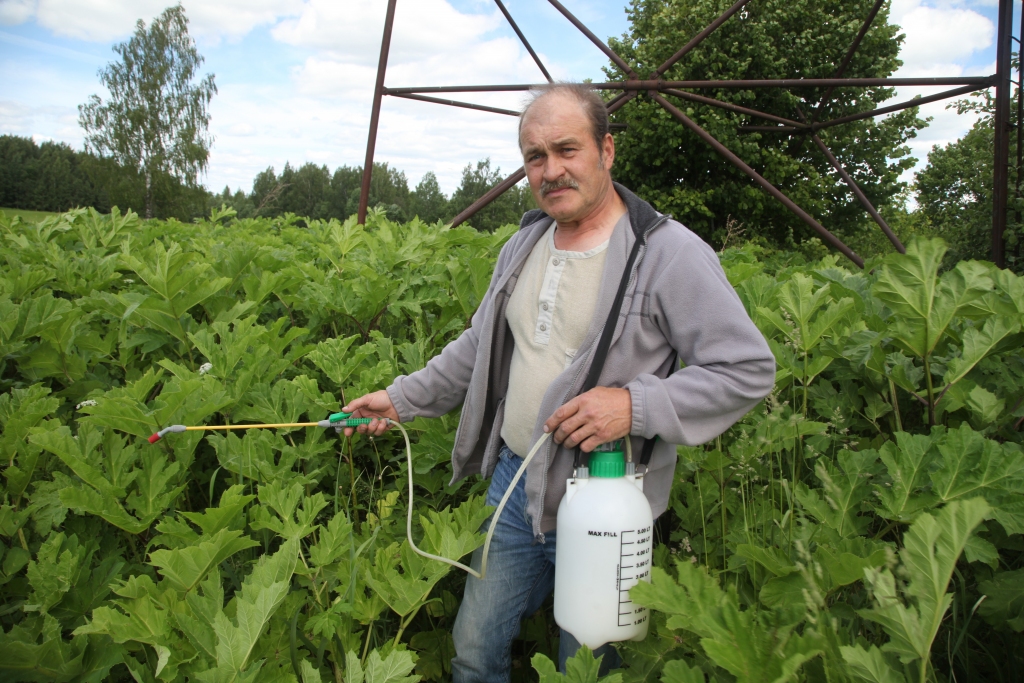 Vai latvāņu paliek mazāk?