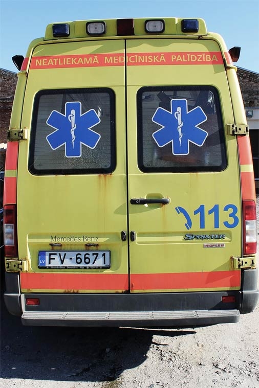 Lizuma pagastā vīrieti sadzeļ lapsenes