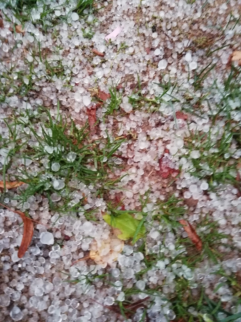 Rudens sākas ar krusu