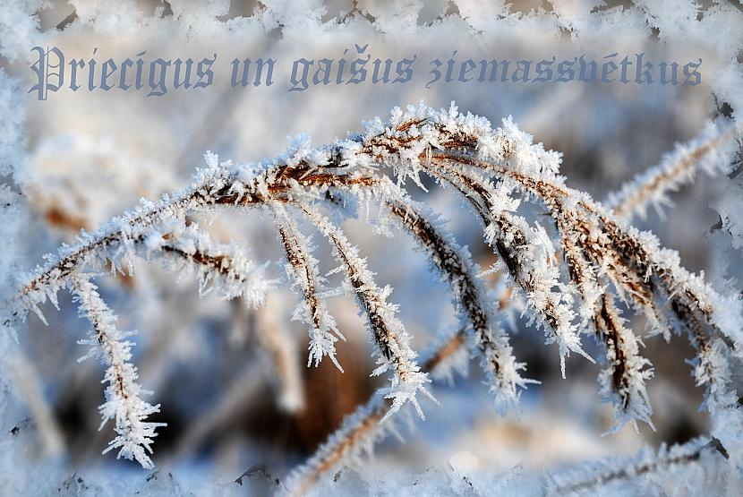 Priecīgus Ziemassvētkus!