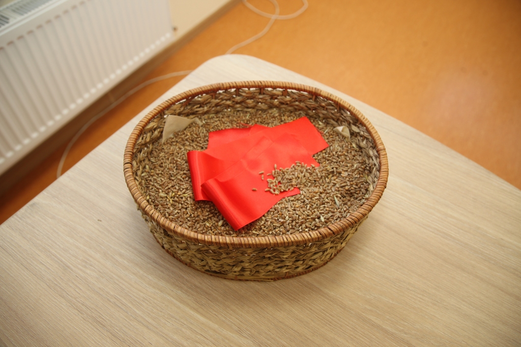 Graudaugu audzētāju spēks – kopdarbā