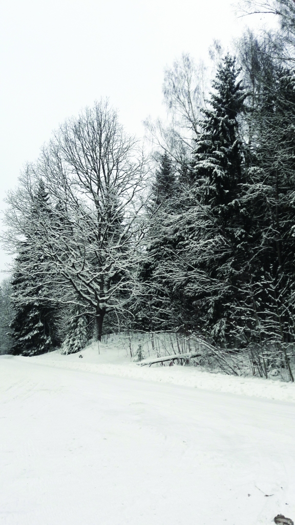 Valdīs stabili ziemas laikapstākļi