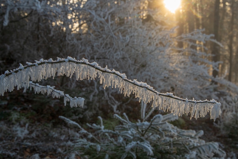 Naktī valsts ziemeļaustrumos gaisa temperatūra noslīdēs zem -20 grādiem