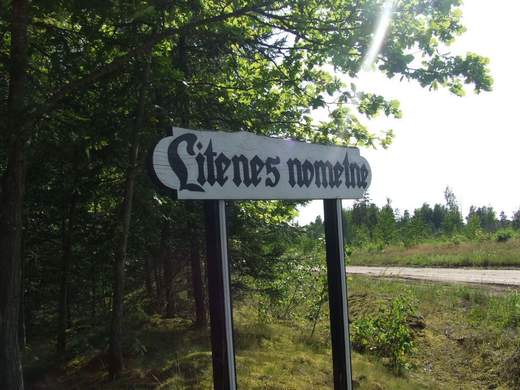 Rīkos meža cirsmas izsoli Latvijas armijas vasaras nometnes vietā Litenē