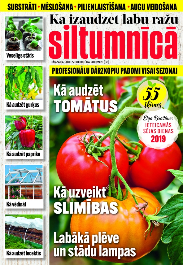 Konkurss