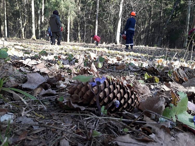 Meža dienās sakopj Spārītes parku