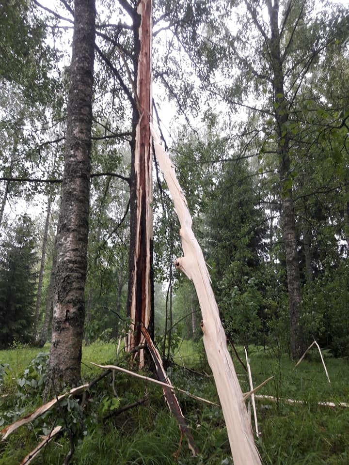 Gulbenes novadā negaiss bijis saudzīgs