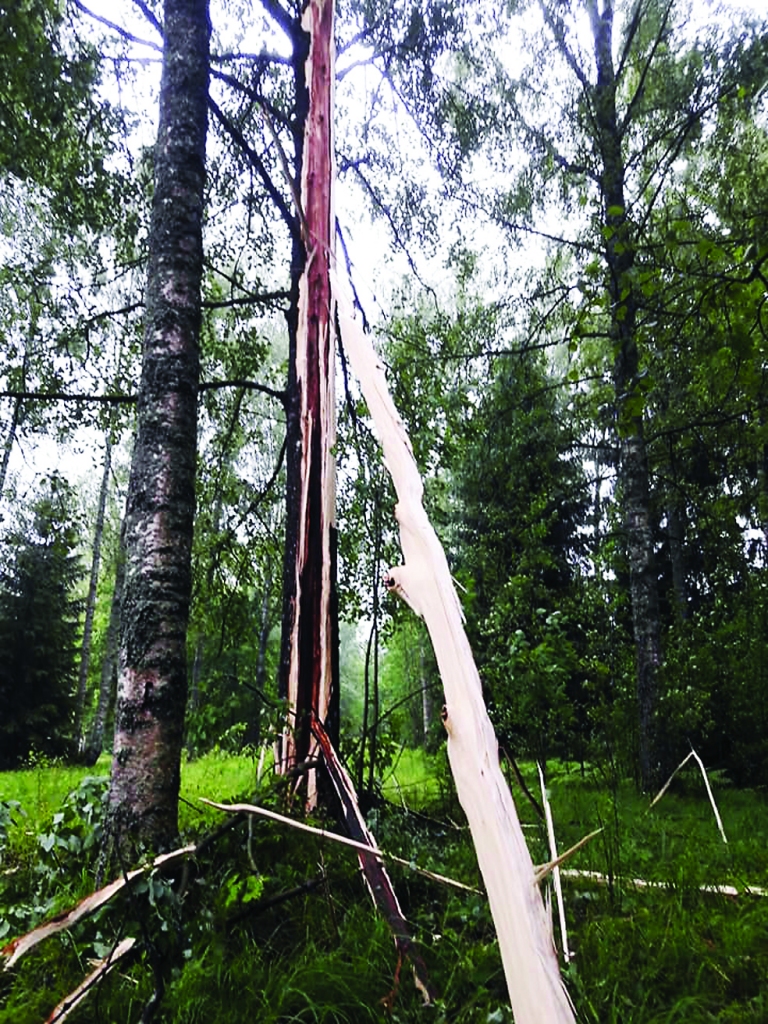 Siltais laiks turpināsies, būs arī negaisi