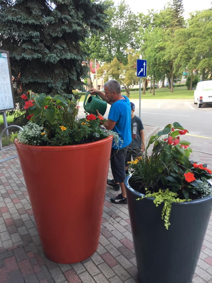 FOTO: Gulbenē jaunums - milzu puķu podi