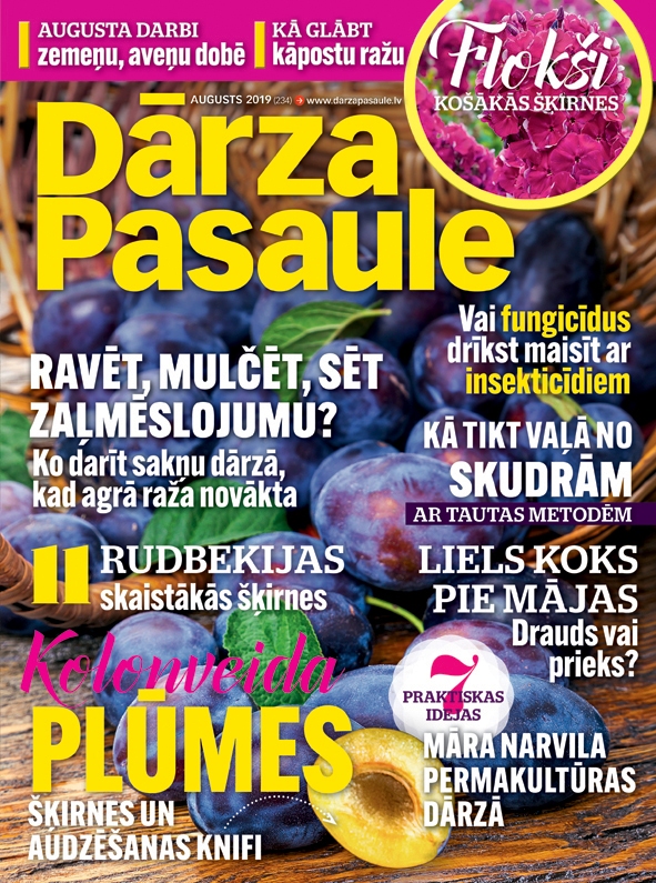 “Dārza Pasaule” augustā
