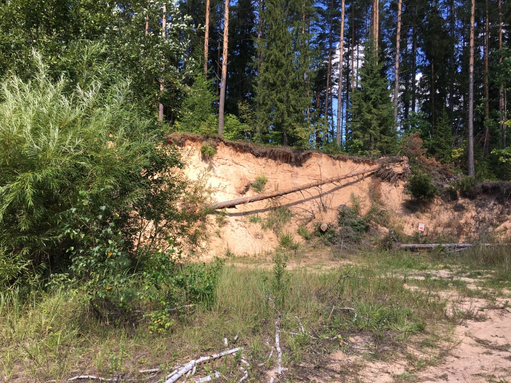 Gulbenes novada iedzīvotāji iebilst pret pašvaldības ieceri pārdot 142 hektārus meža Jaungulbenes pagastā (+ vēstule)