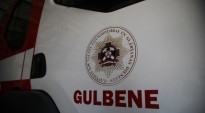 Gulbenē dažādas nedienas ar dzīvniekiem