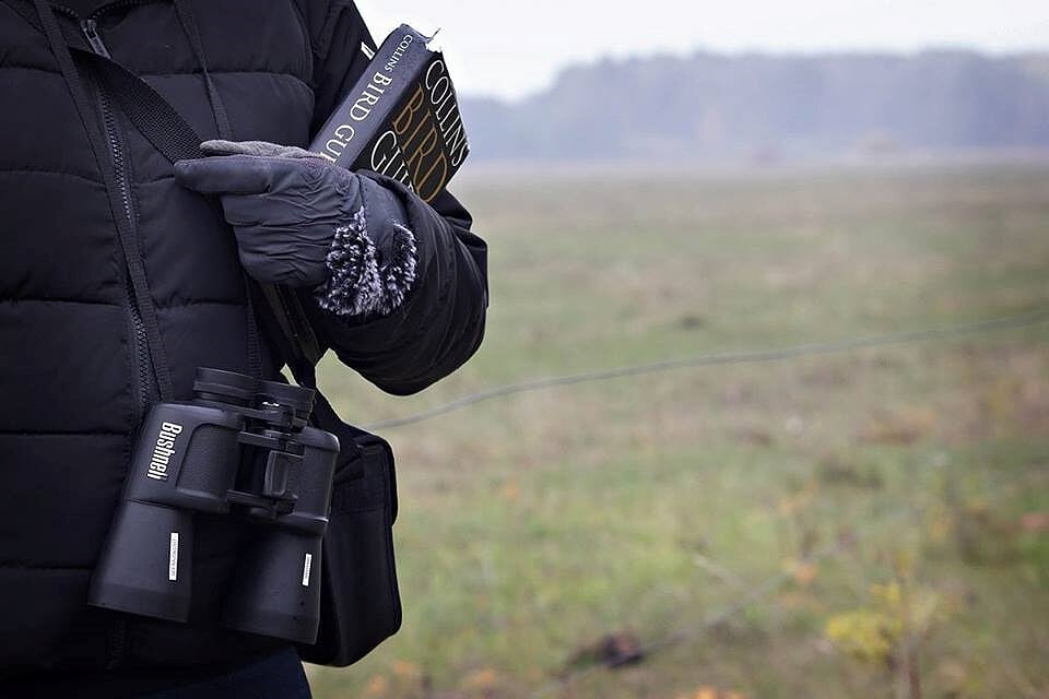 Oktobra pirmajā nedēļas nogalē aicina vērot putnu rudens migrāciju 