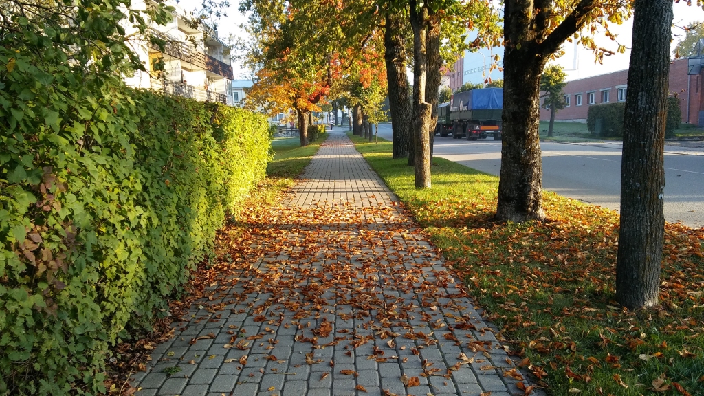 Oktobra rītos kodīs salna