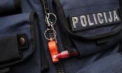 Jaungulbenes pagastā autosadursmi izraisa suns