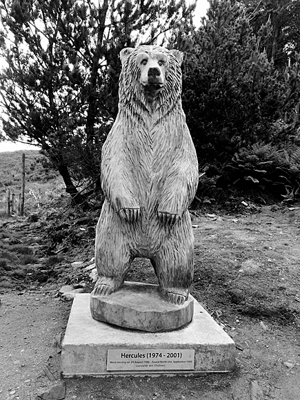 Nedēļa vēsturē