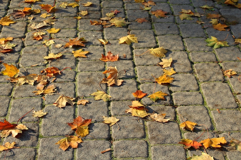 Aizvadītā sestdiena bijusi siltākā šajā datumā Latvijas novērojumu vēsturē