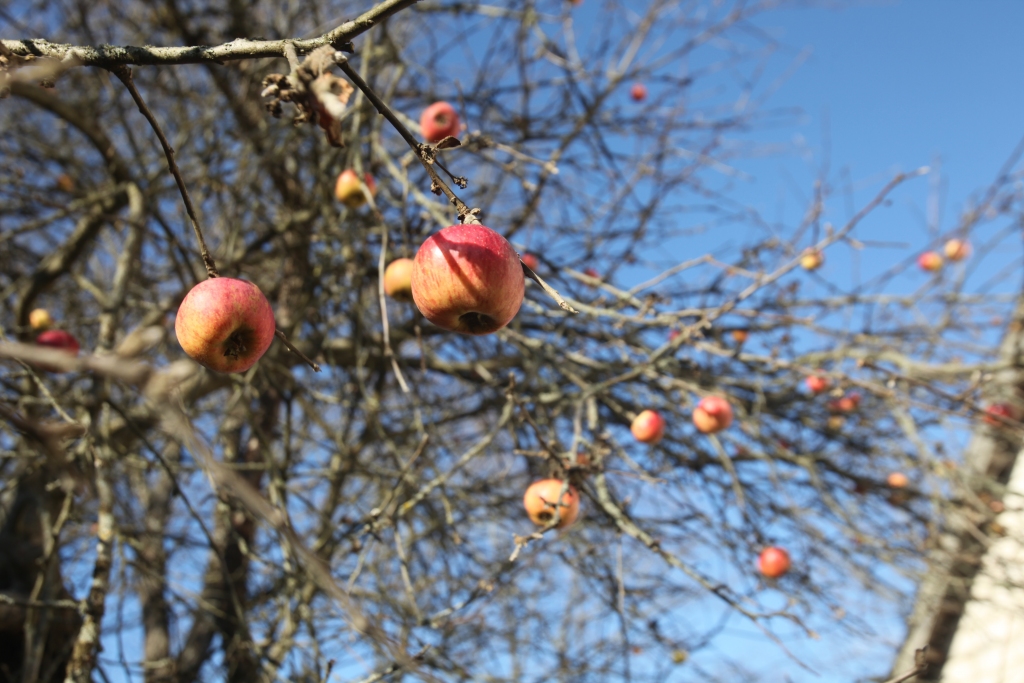 Novembra otrajā pusē lietu nomainīs sniegs