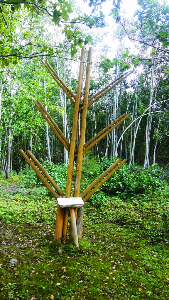 Kur dzīvi pakārto gadu ciklam