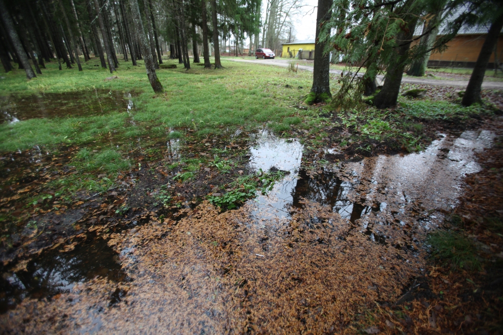 Lietavu dēļ jaunie celiņi Spārītes parkā grimst ūdenī, pašvaldība mierina: viss vēl ir procesā