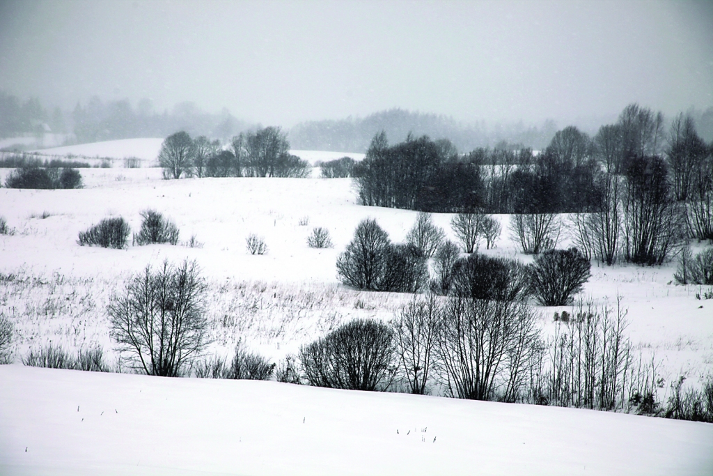Decembris būs nokrišņiem bagāts