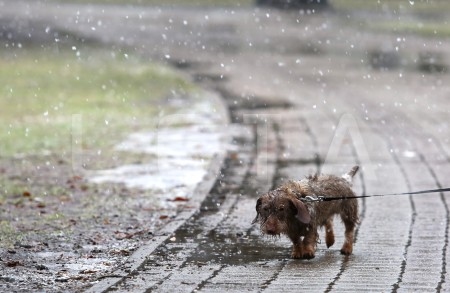 Tuvākajā laikā noturīgas ziemas iestāšanos Latvijā neprognozē