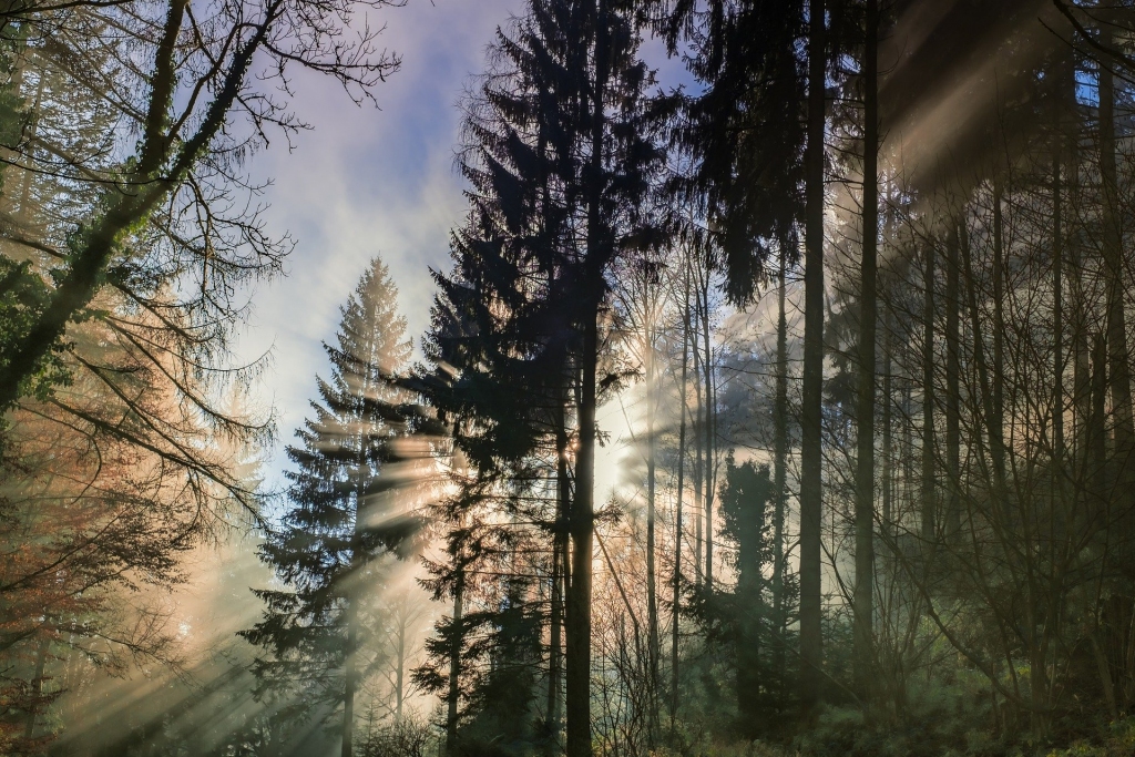 Pirmdien uzspīdēs saule un būs maz nokrišņu