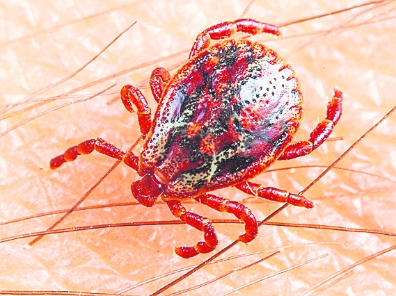 Biedrības nominē īpašā vārda nesējus dabā