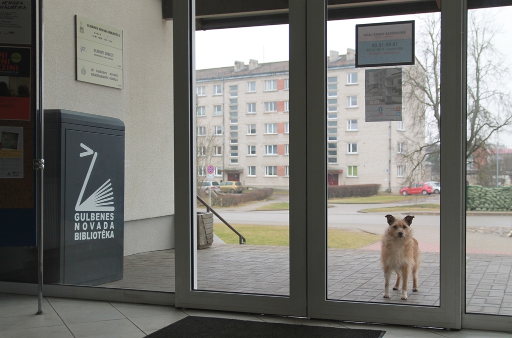 Gulbenes novada bibliotēkas slēgtas, grāmatas izsniedz pēc noteiktas kārtības