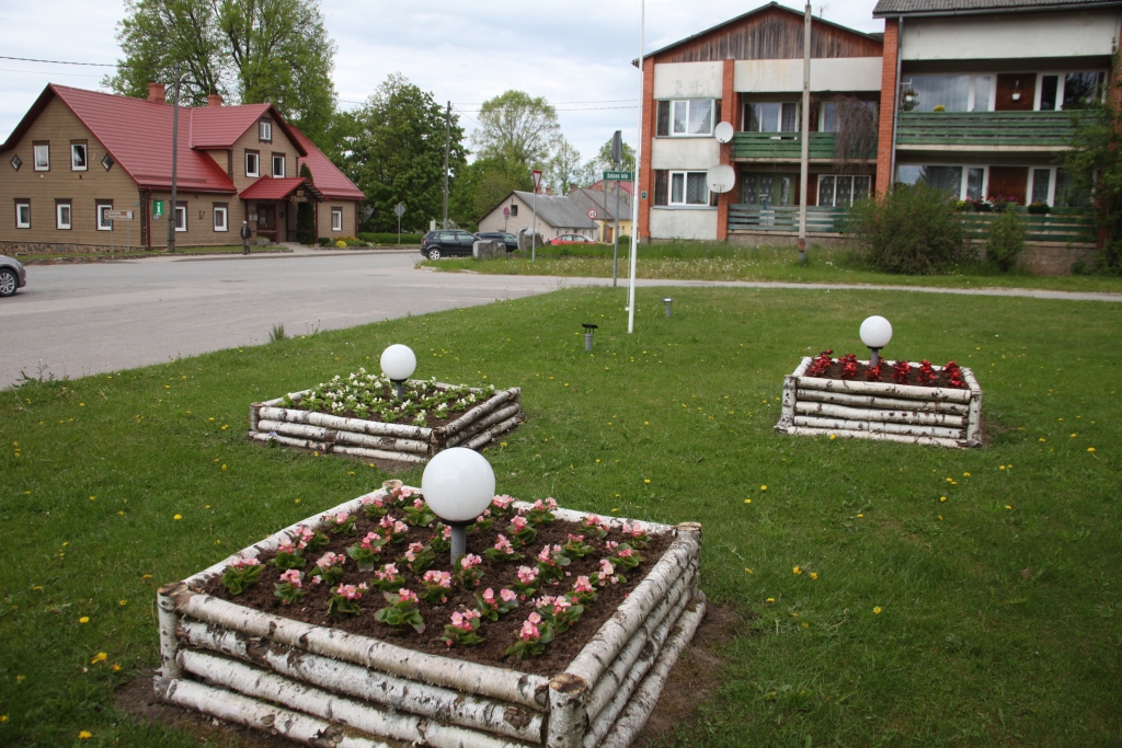 Tūristi iepazīst Lejasciema ziedu pasauli
